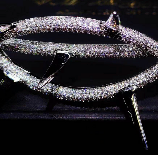 【Ice203】Crown Of Jesus