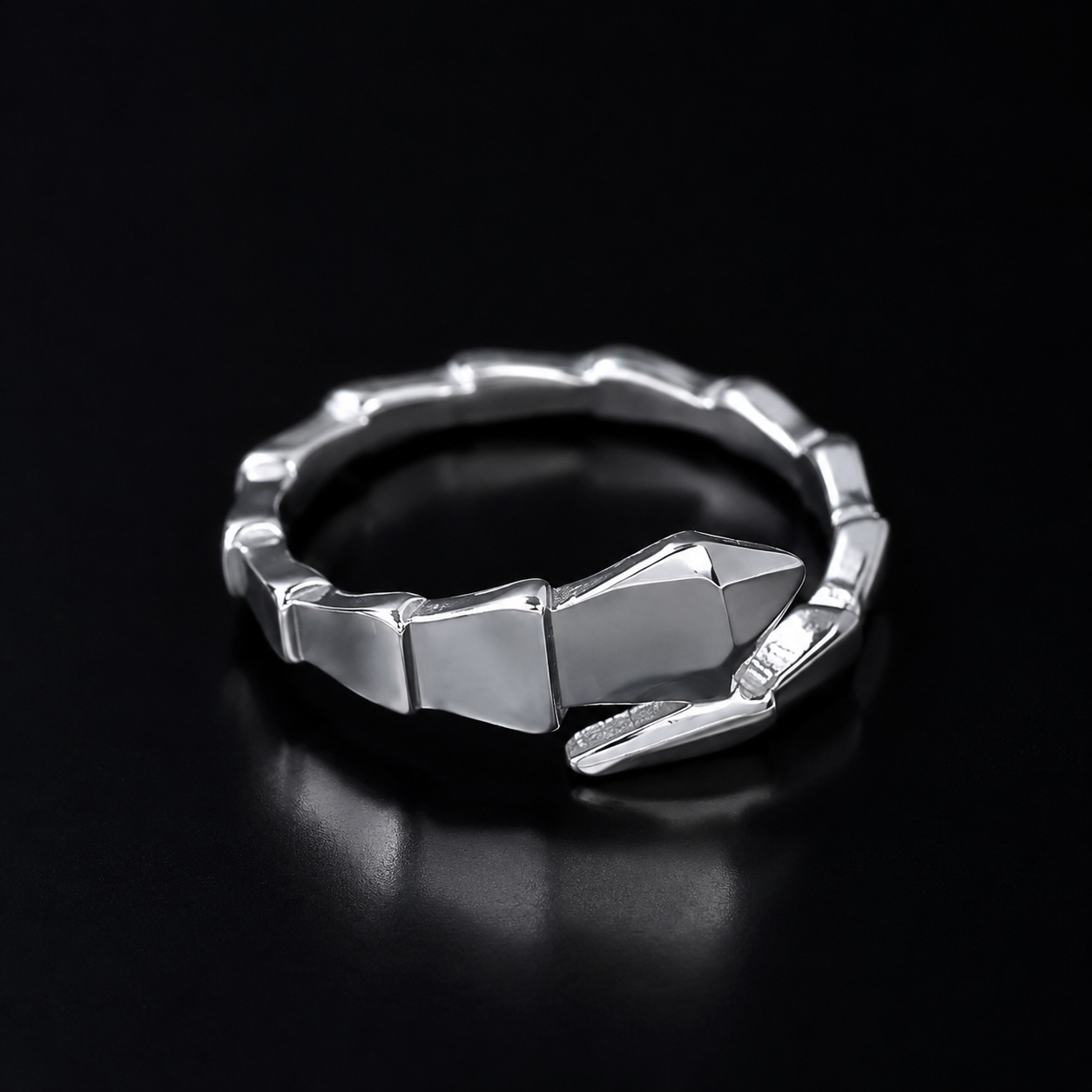 【Ice231】Gleaming Ring