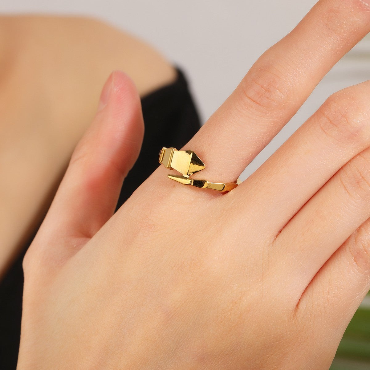 【Ice231】Gleaming Ring