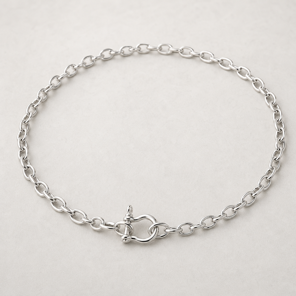 【Ice226】Horseshoe Chain Necklace 全体が分かる商品画像